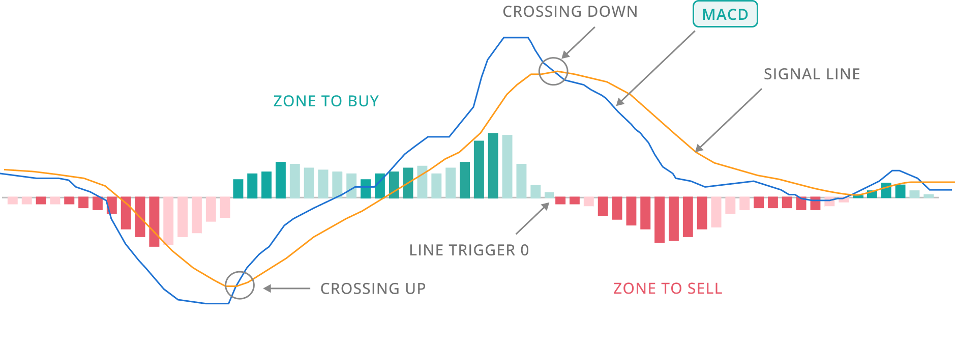 entry graph