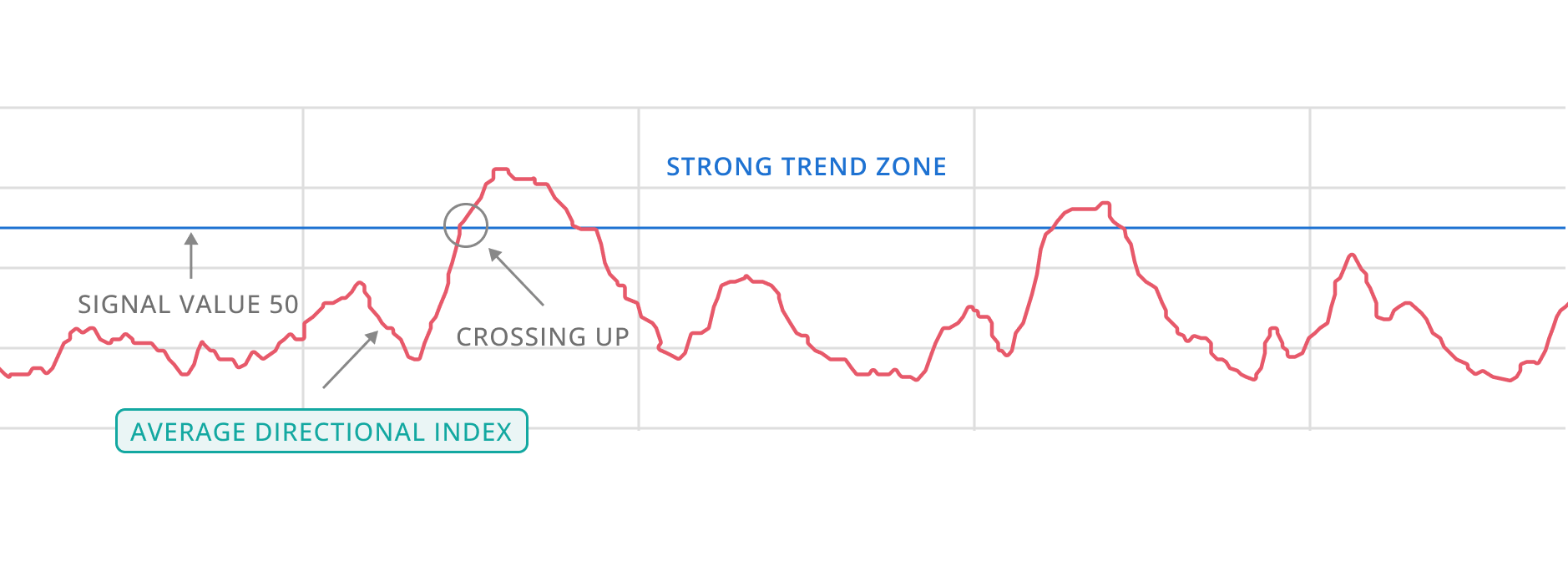 entry graph